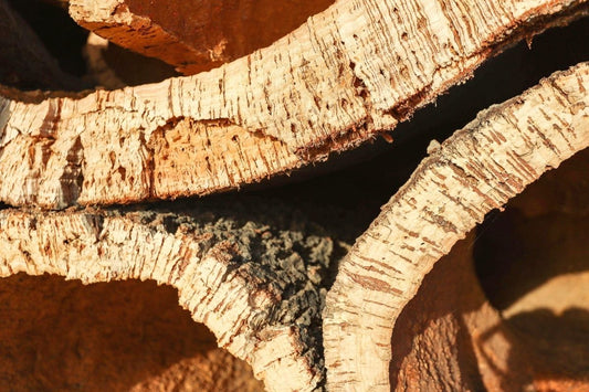 Alcornoque, el árbol del que sale el corcho natural